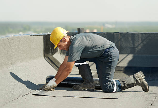 Best Geographic-Specific Insulation Services in Fairview, TN